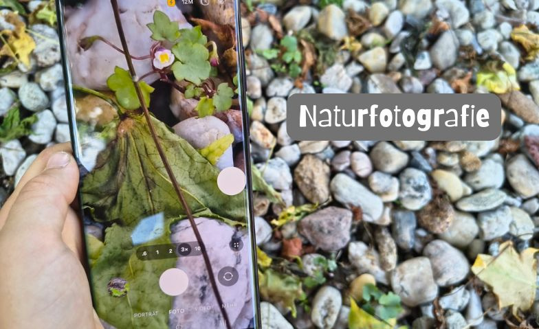 Event-Image for 'Naturfotografie'
