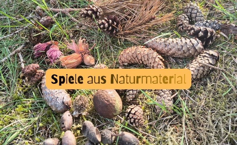 Spiele aus Naturmaterial – Waldzauber Rodenbach