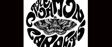 Event-Image for 'The Common Carpets'