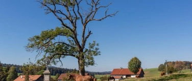 Event-Image for 'Wanderung Tramelan - Tavannes'
