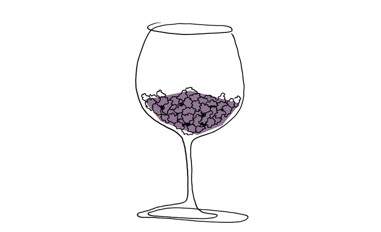 Liquid Tasting Portwein