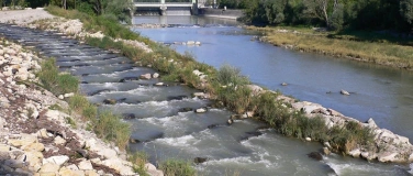 Event-Image for 'Exkursion: Auenschutzpark zwischen Aarau und Wildegg'