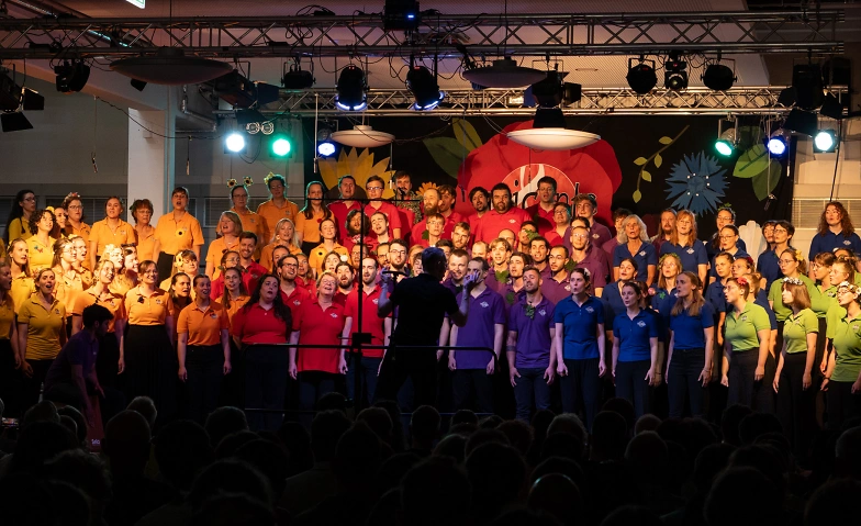 Event-Image for 'Singsalabim und abracappella &ndash; Sommernachtskonzerte 2026'
