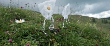 Event-Image for 'Open Air Film UNTEUNTER PFLANZEN &ndash; Ein Perspektivenwechsel'