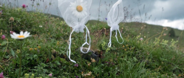 Event-Image for 'Unter Pflanzen'