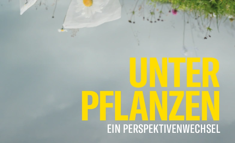 Openair Kino: Unter Pflanzen