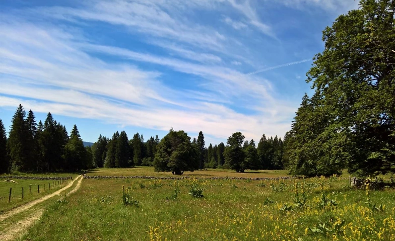 360° Grün