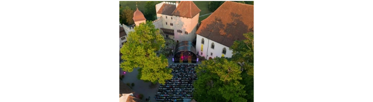 Fränzi Frick, Verein Lenzburgiade