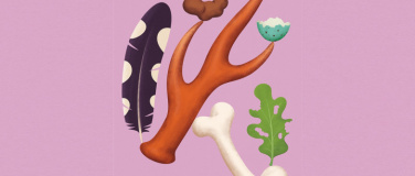 Event-Image for 'Vernissage - Spuren &ndash; F&auml;hrten, Frass und Federn'