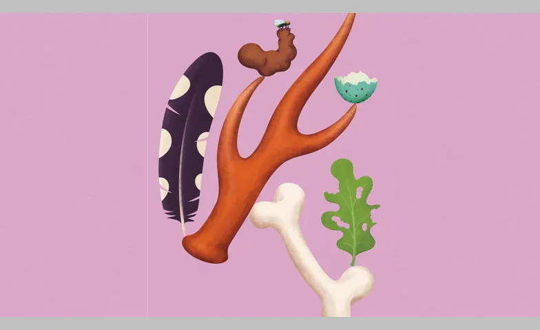 Vernissage - Spuren &ndash; F&auml;hrten, Frass und Federn Naturmuseum St.Gallen, Rorschacher Strasse 263, 9016 St.Gallen Tickets