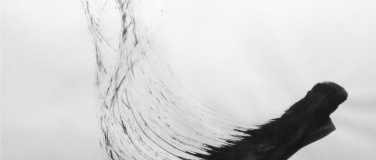 Event-Image for 'Vernissage - Sven B&ouml;siger - Schall, Hauch & Moves'