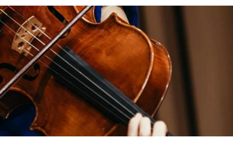 Viola im Fokus, Konzerte, Hagenhaus