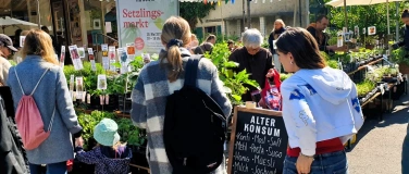 Event-Image for 'Setzlingsmarkt'