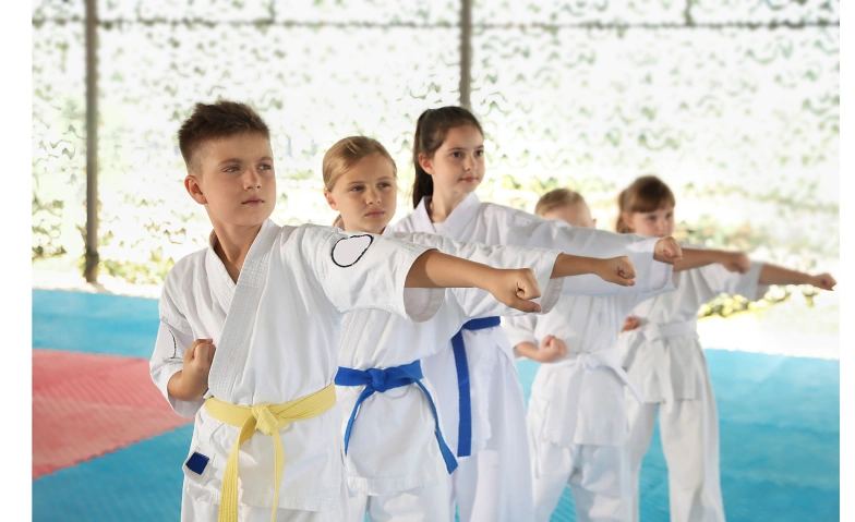 Karate 1.-7. Klasse  - Herbstsportwoche 2026 Billets