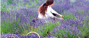 Event-Image for 'Heilkr&auml;fte aus der Natur &ndash; die Kunst der Pflanzen-Tinkturen'
