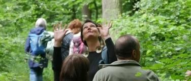Event-Image for 'Waldbaden: Energie aus der Natur tanken'