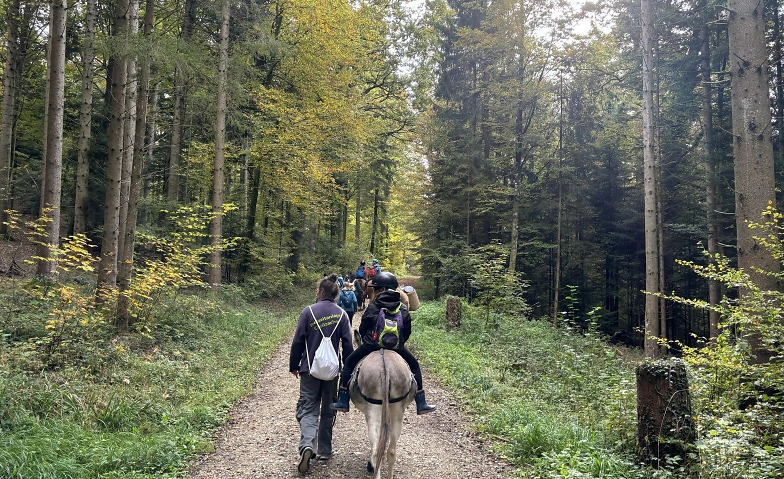Pony- und Eseltrekking (Kursnr. 2.1e)