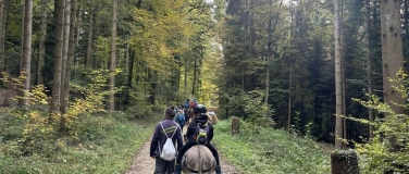 Event-Image for 'Tierischer Waldspaziergang'