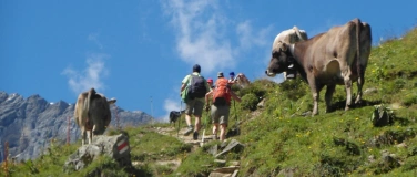 Event-Image for 'Gef&uuml;hrte Wanderung &laquo;Wandern und Mutterk&uuml;he&raquo; in Freienstein'