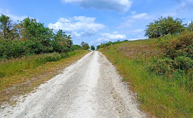 Event-Image for 'Kr&auml;uterwanderung'