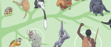 Event-Image for 'Die  Evolution menschlicher Kognition'