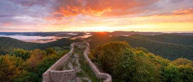 Event-Image for 'Wir feiern Pfalz - mit Fotograf und Autor Yannick Scherthan'