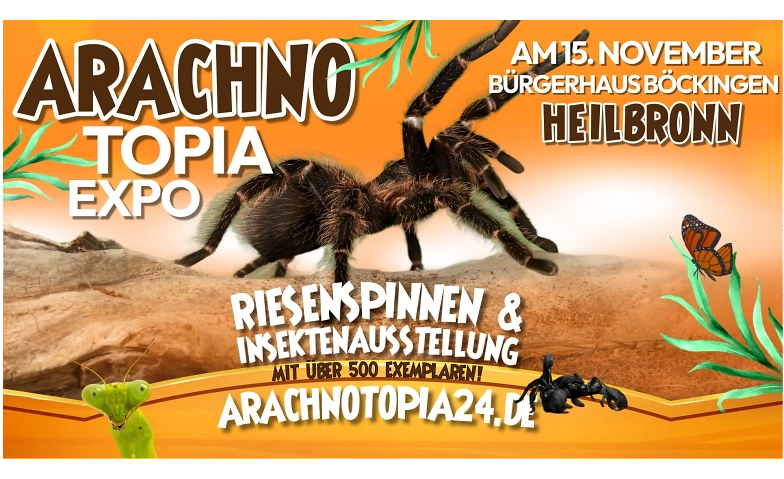Riesenspinnen & Insektenausstellung - Heilbronn Bürgerhaus