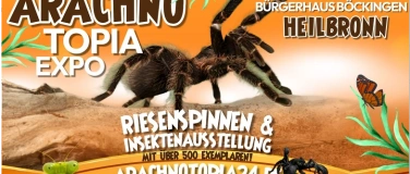 Event-Image for 'Riesenspinnen & Insektenausstellung - Heilbronn B&uuml;rgerhaus'