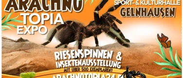 Event-Image for 'Arachnotopia - Spinnen & Insektenausstellung Gelnhausen'
