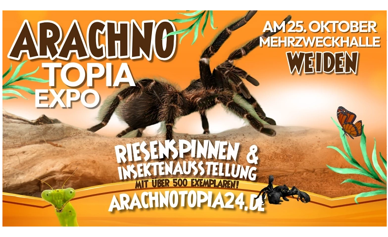 Riesenspinnen & Insektenausstellung Weiden Oberpfalz