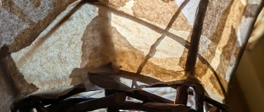 Event-Image for 'Andrea Tuve: WeidePapierLicht'