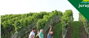 Event-Image for 'Wein und Reben im Schenkenbergertal'