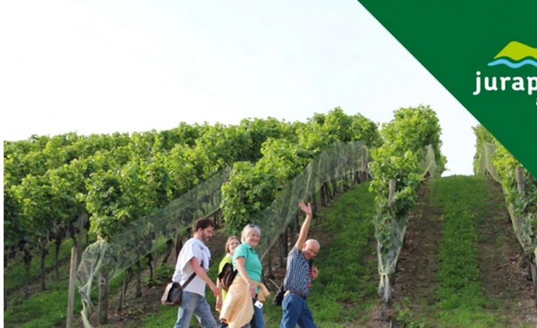 Event-Image for 'Wein und Reben im Schenkenbergertal'