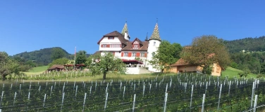 Event-Image for 'Weintavolata'