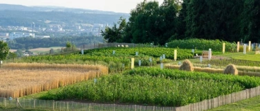 Event-Image for 'Fasersonntag auf dem Weltacker'