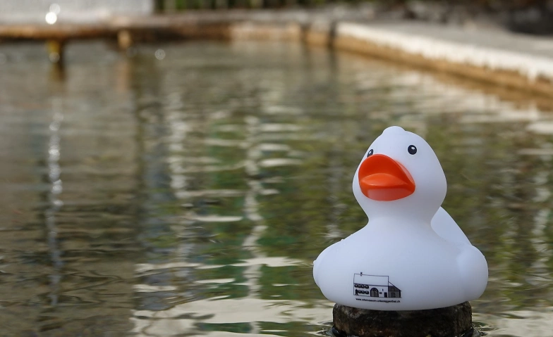 Event-Image for 'Wasser - gefasst und verteilt'