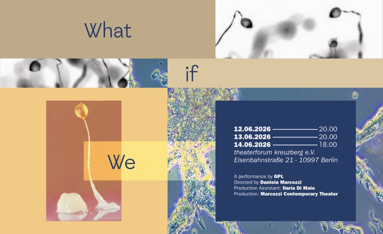 What if we Theaterforum Kreuzberg Billets