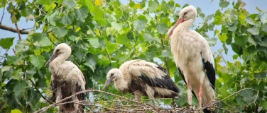 Event-Image for 'Tag der offenen Naturzentren'