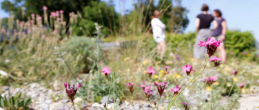 Event-Image for 'Wo Vielfalt Wurzeln schl&auml;gt'