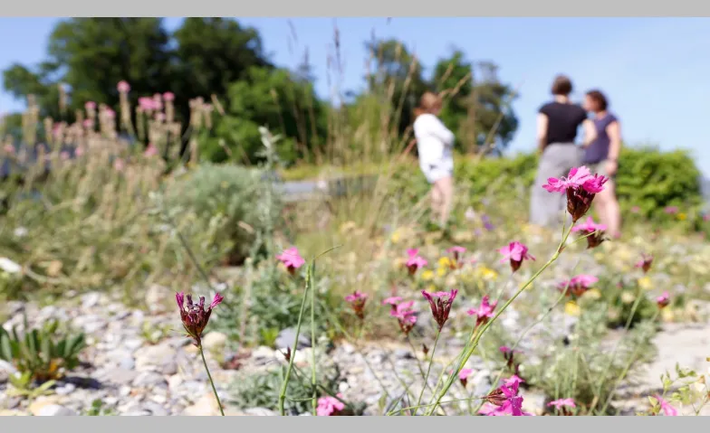 Wo Vielfalt Wurzeln schl&auml;gt Klima- und Biodiversit&auml;tsgarten, Signalstrasse, 9400 Rorschach Tickets