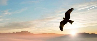 Event-Image for 'Healing-Wochenendseminar - was lebendig werden m&ouml;chte'
