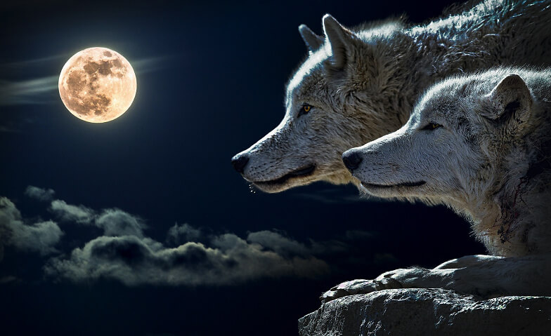 Vollmond-Trommeln für Frieden und Freiheit