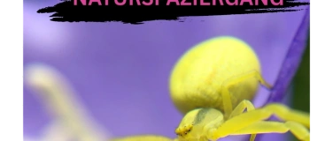 Event-Image for 'Citizen Nature Challenge 2026: Naturspaziergang mit App'