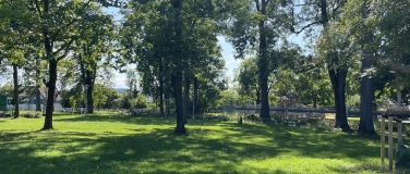 Event-Image for 'Yoga im Park Bretten'