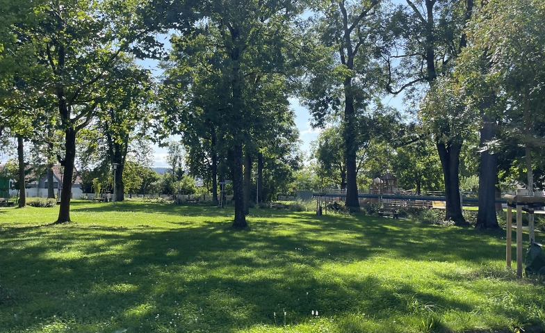 Yoga im Park Bretten