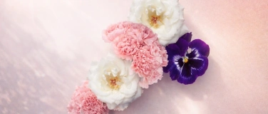 Event-Image for 'Bloom & Bubbles'