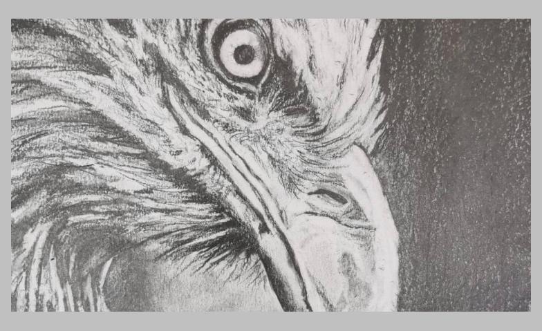 Event-Image for 'Zeichnen lernen - Schritt f&uuml;r Schritt'