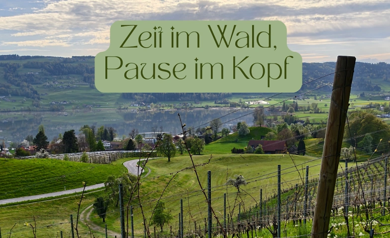 Zeit im Wald & Pause im Kopf