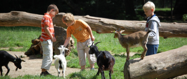 Event-Image for 'Sommerspa&szlig; im Wildpark Schwarze Berge'