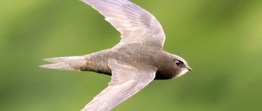 Event-Image for 'Zwerglif&uuml;hrung &laquo;fliegend unterwegs&raquo;'
